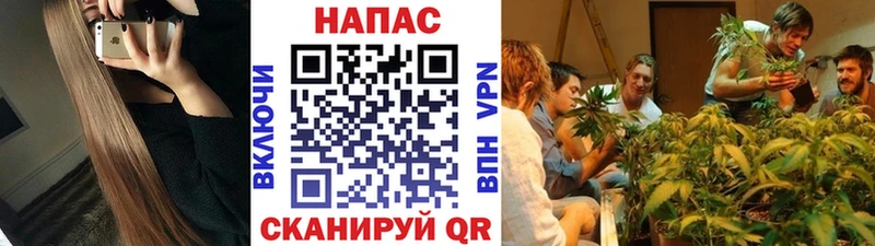 Купить наркотики цена Реутов Псилоцибиновые грибы Меф КЕТАМИН АМФ Бошки Шишки Cocaine APVP