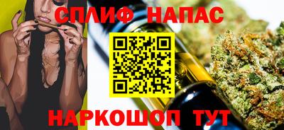 СК Новозыбков