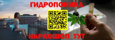дурь Новокубанск