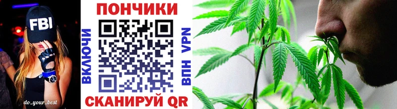 Каннабис сатива  Реутов 